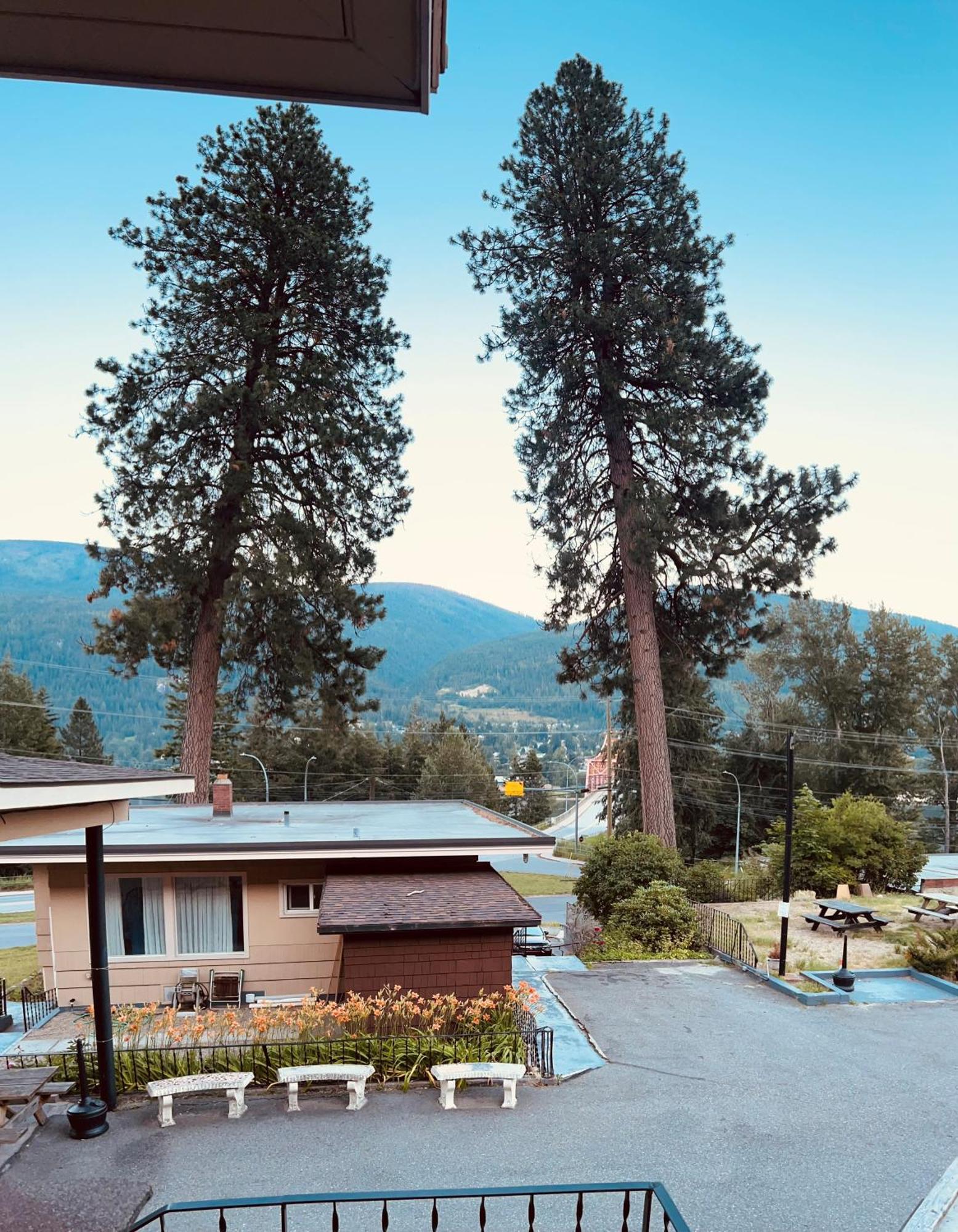 Villa Motel Nelson Exterior photo